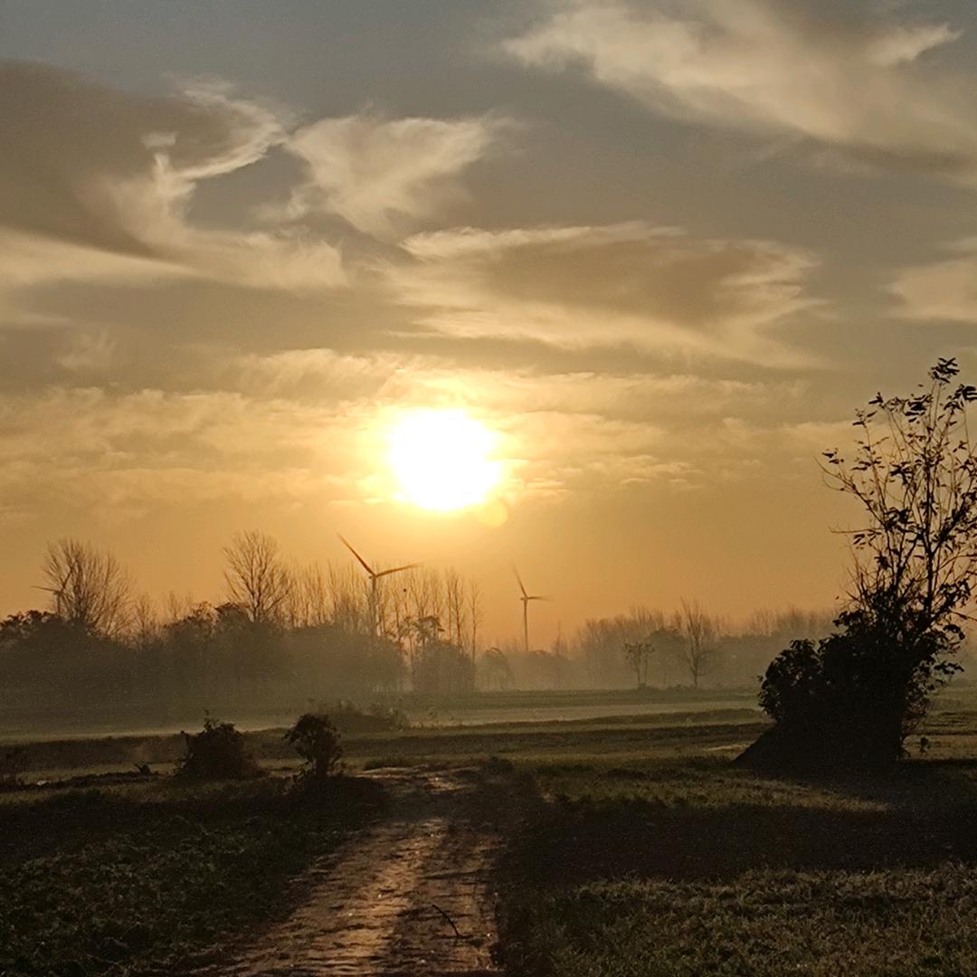 红太阳☀️.