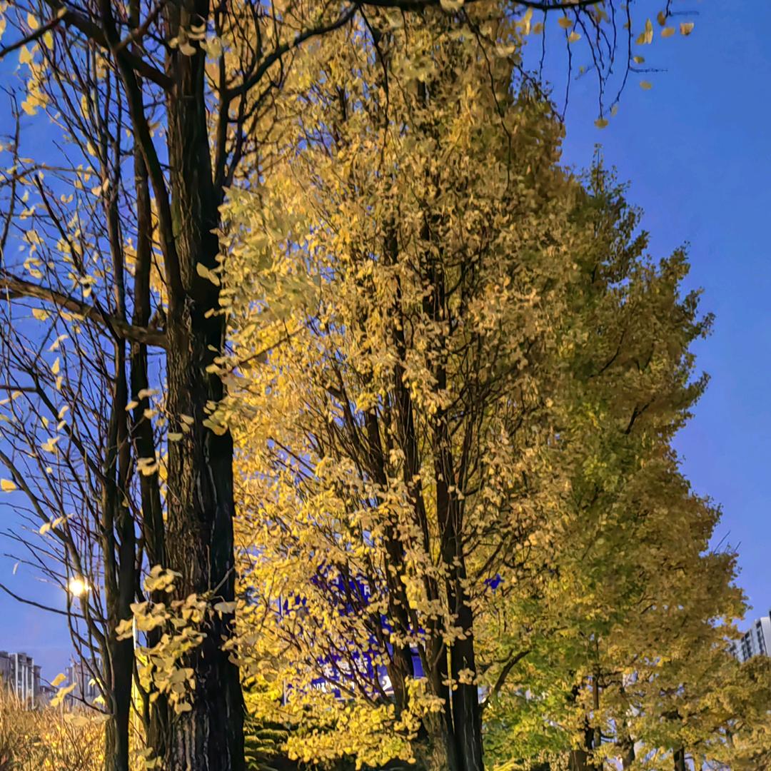 人生如戏，戏如人生