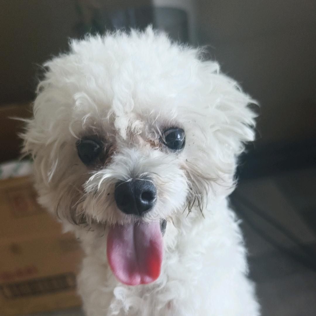 麦当劳不为肯德基做广告