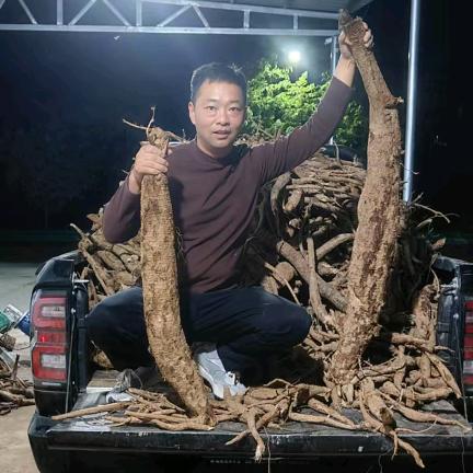 强氏葛业工厂店