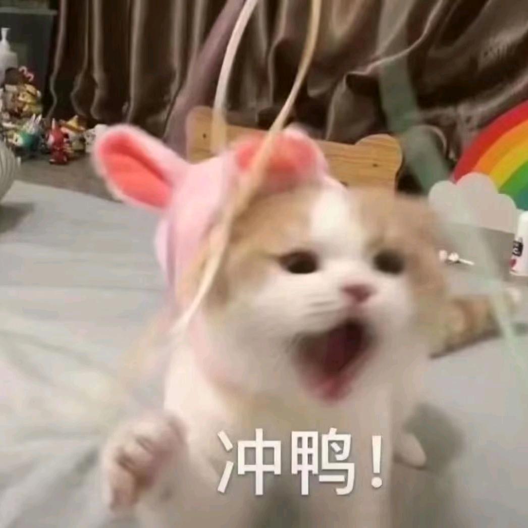 依依好无奈