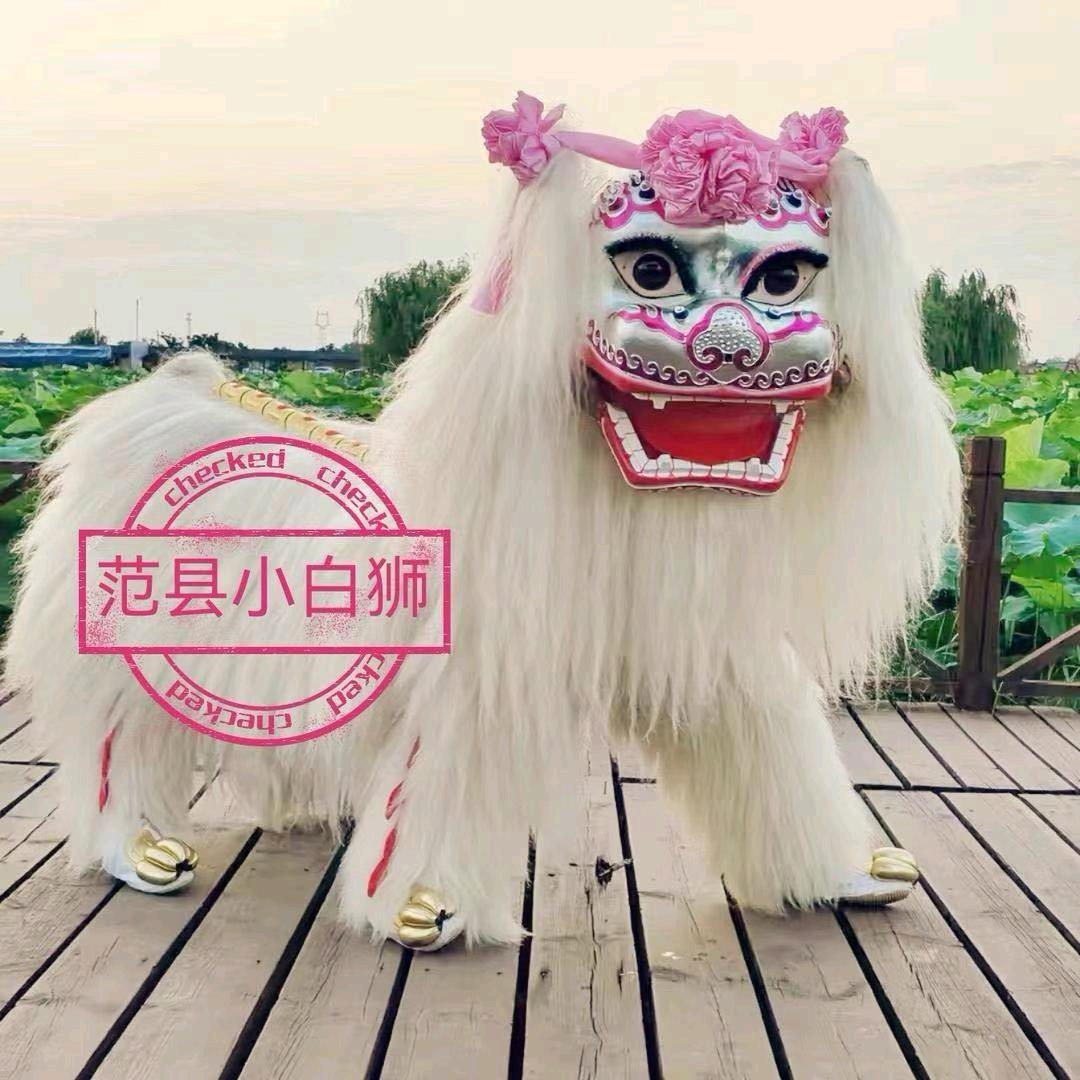 范县精英舞狮团传媒