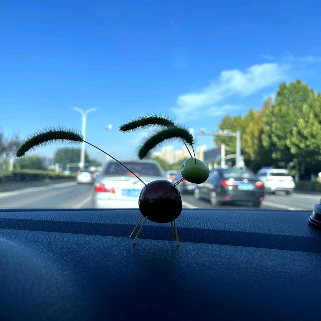 邯郸大洋《💰金融服务💰》