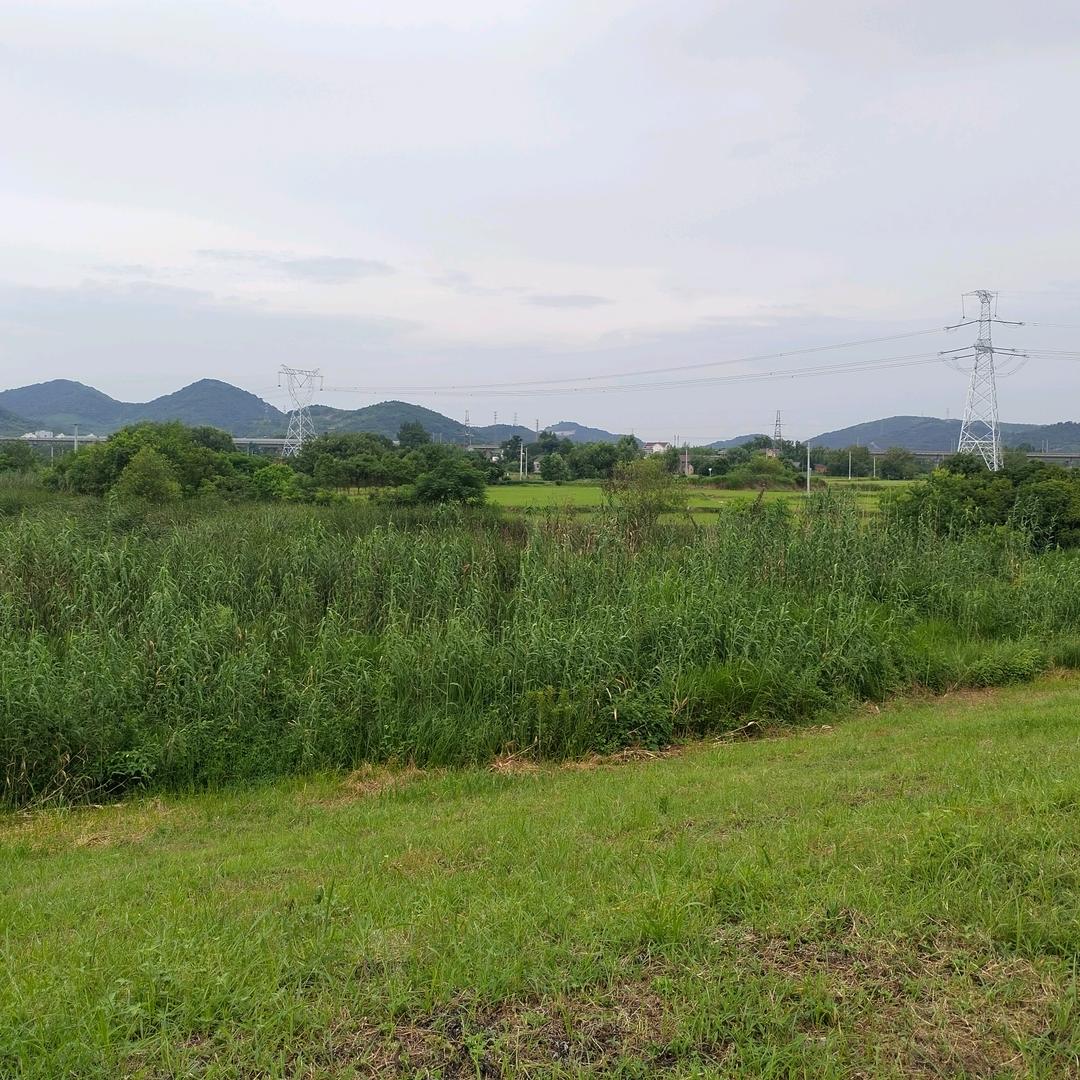 平淡一生