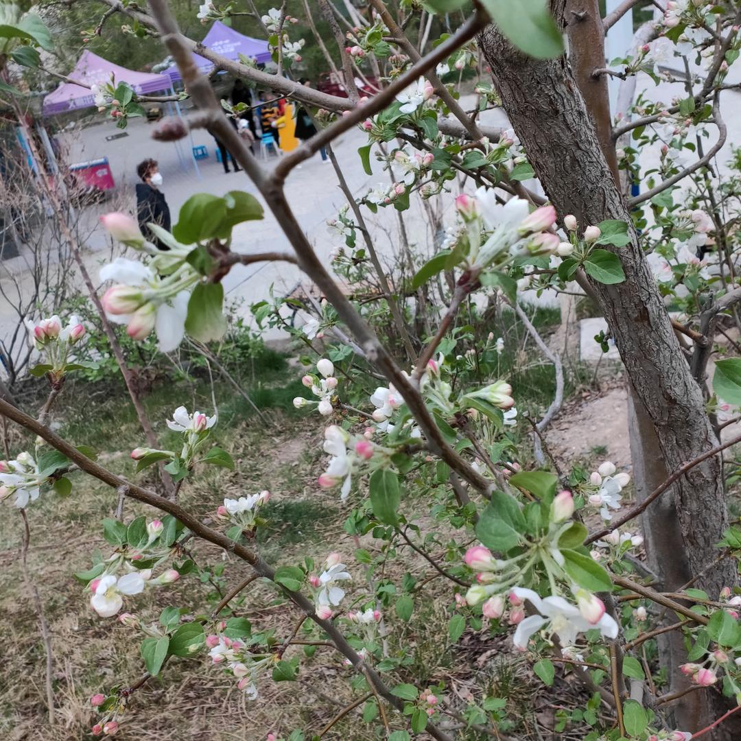 祁粉粉