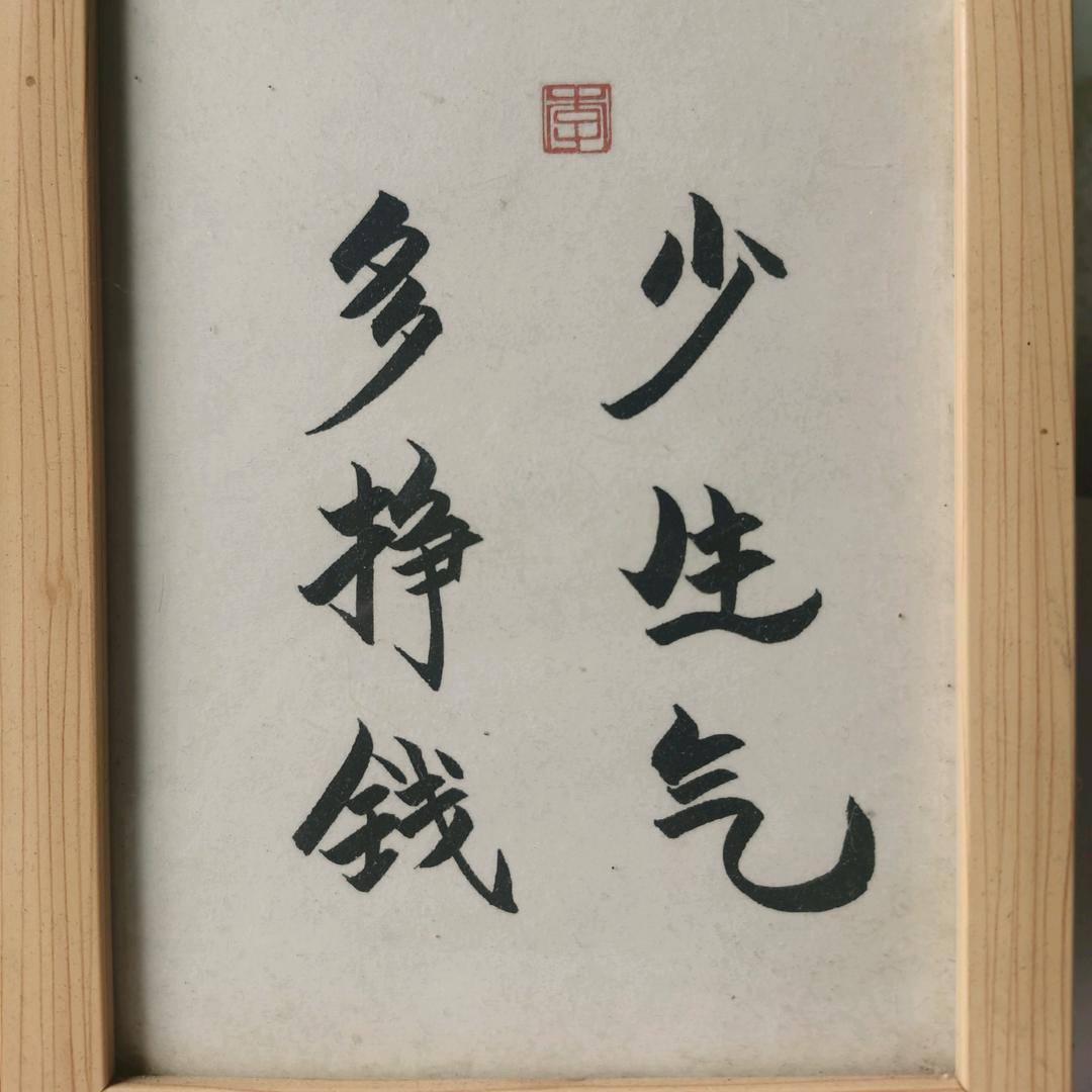 鸡苗销售 赵志军