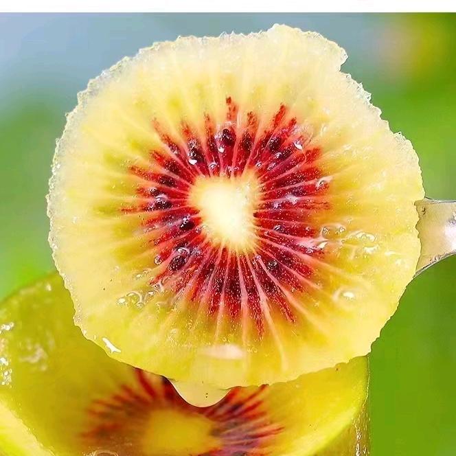 呐断情