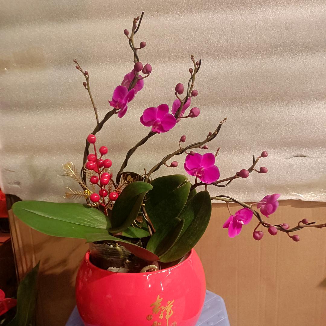 顺景花木场