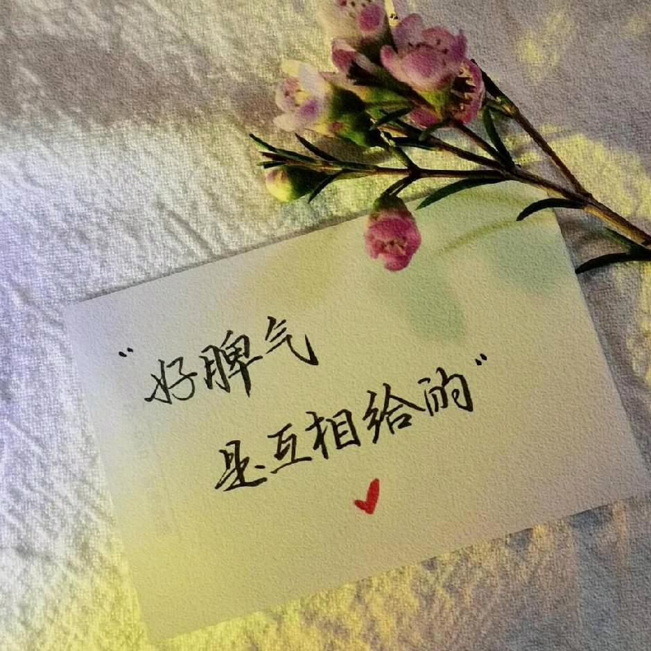 🥀⃟错把᭄敷衍ꦻ当承诺ꦿᭁ🌺