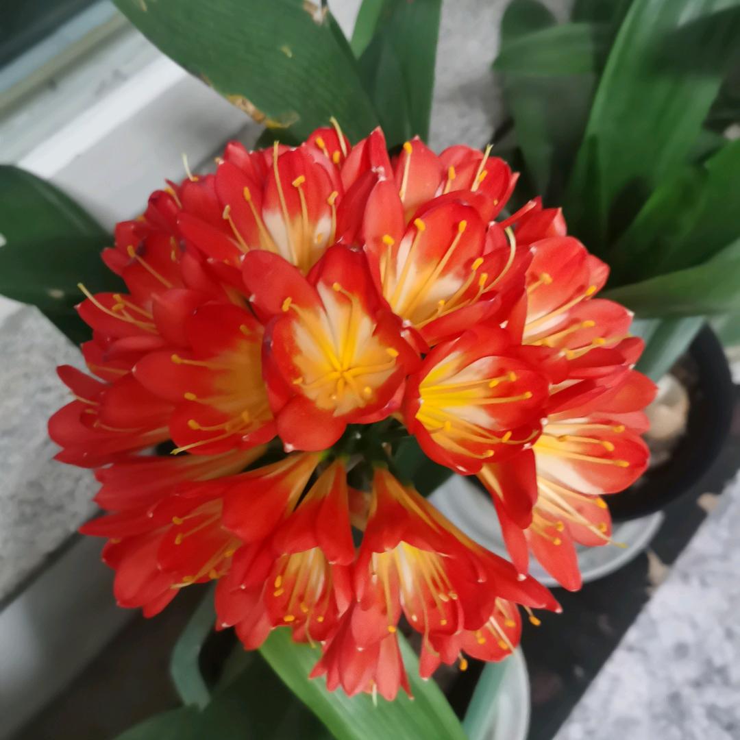 春花秋实