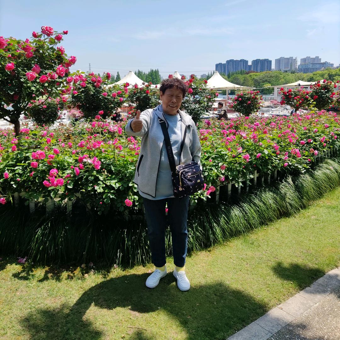 红牡丹