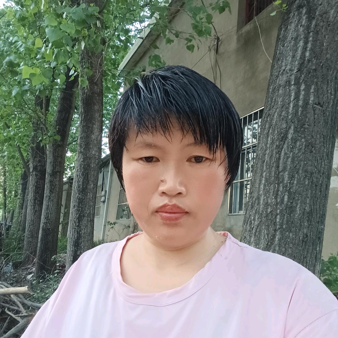 陶敏