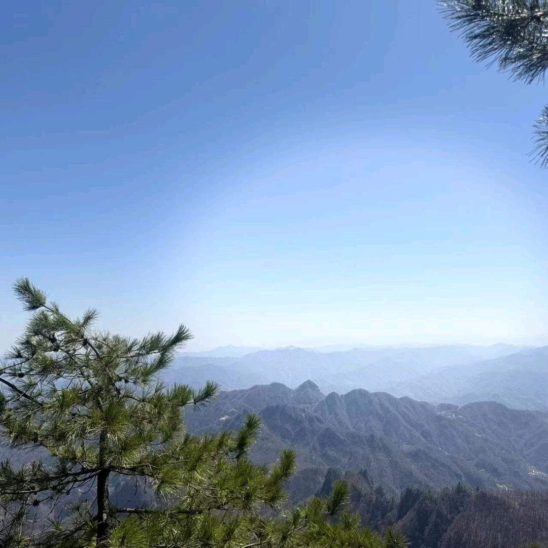 玄真【陀谷堂】