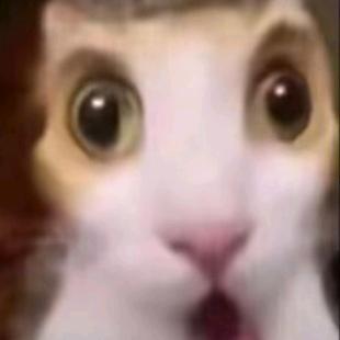 泥膜