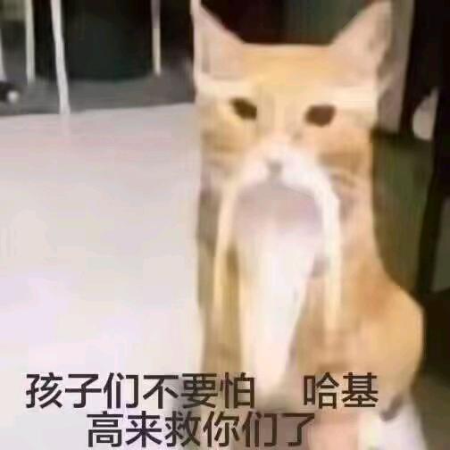 枝风wu