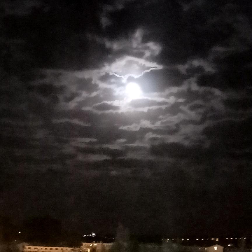 王玮瑛