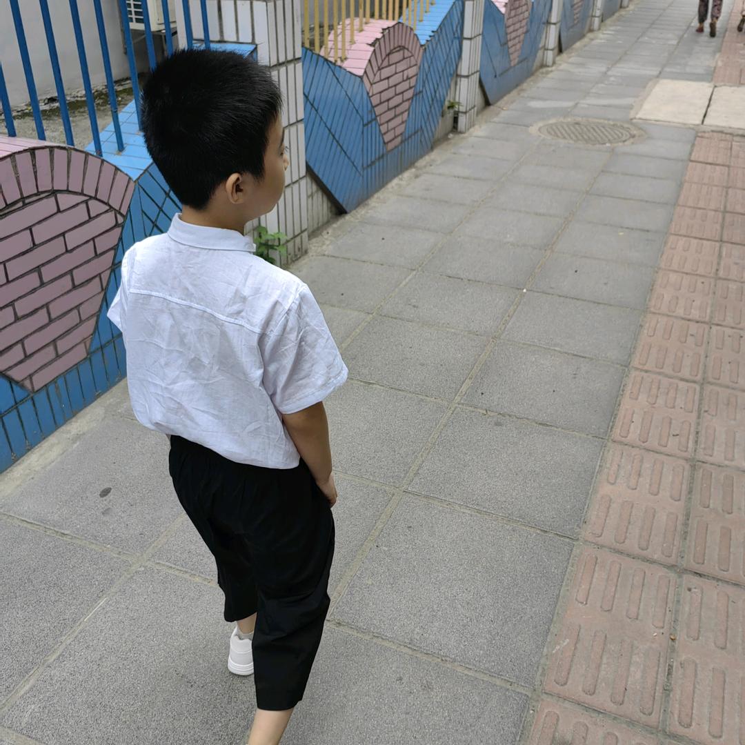 栉尘