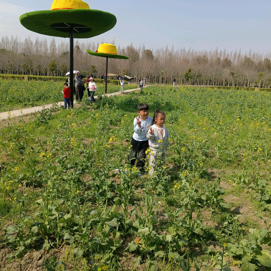 淮南市夏集人在上海