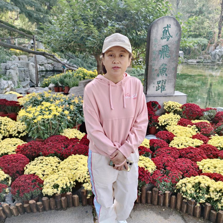 阿热初中全科提升