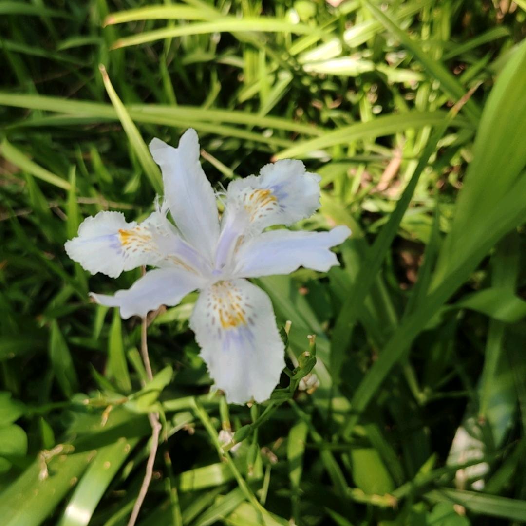 清 闲