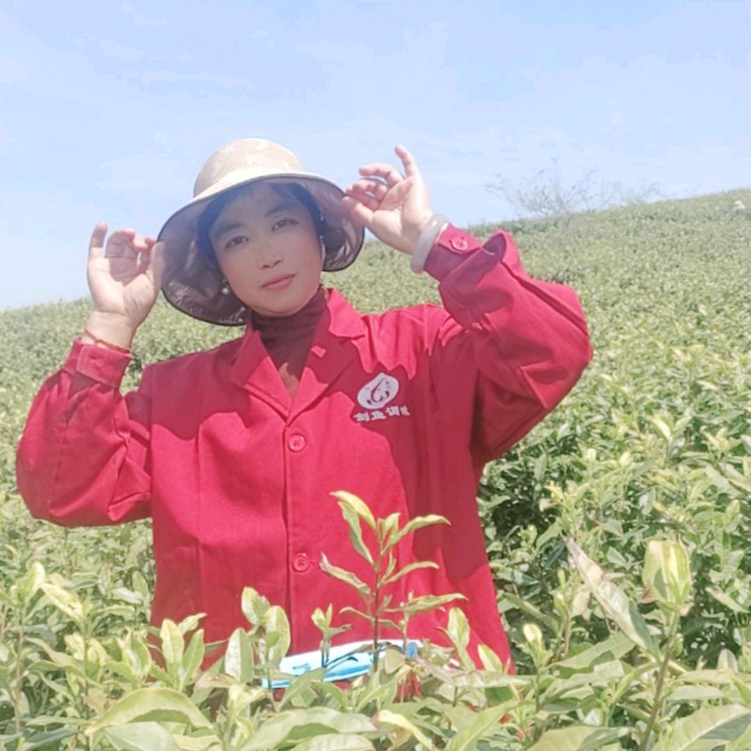 任小爱常年招工