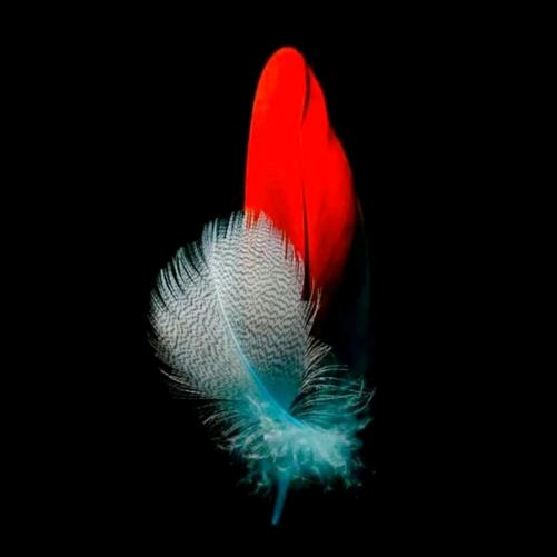 🇨🇳勇攀高峰🇨🇳