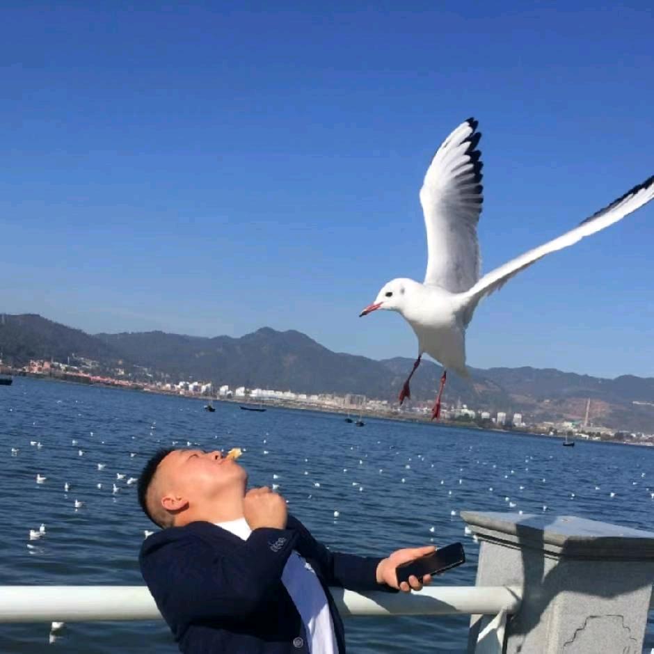 小亮哥(荣昌)