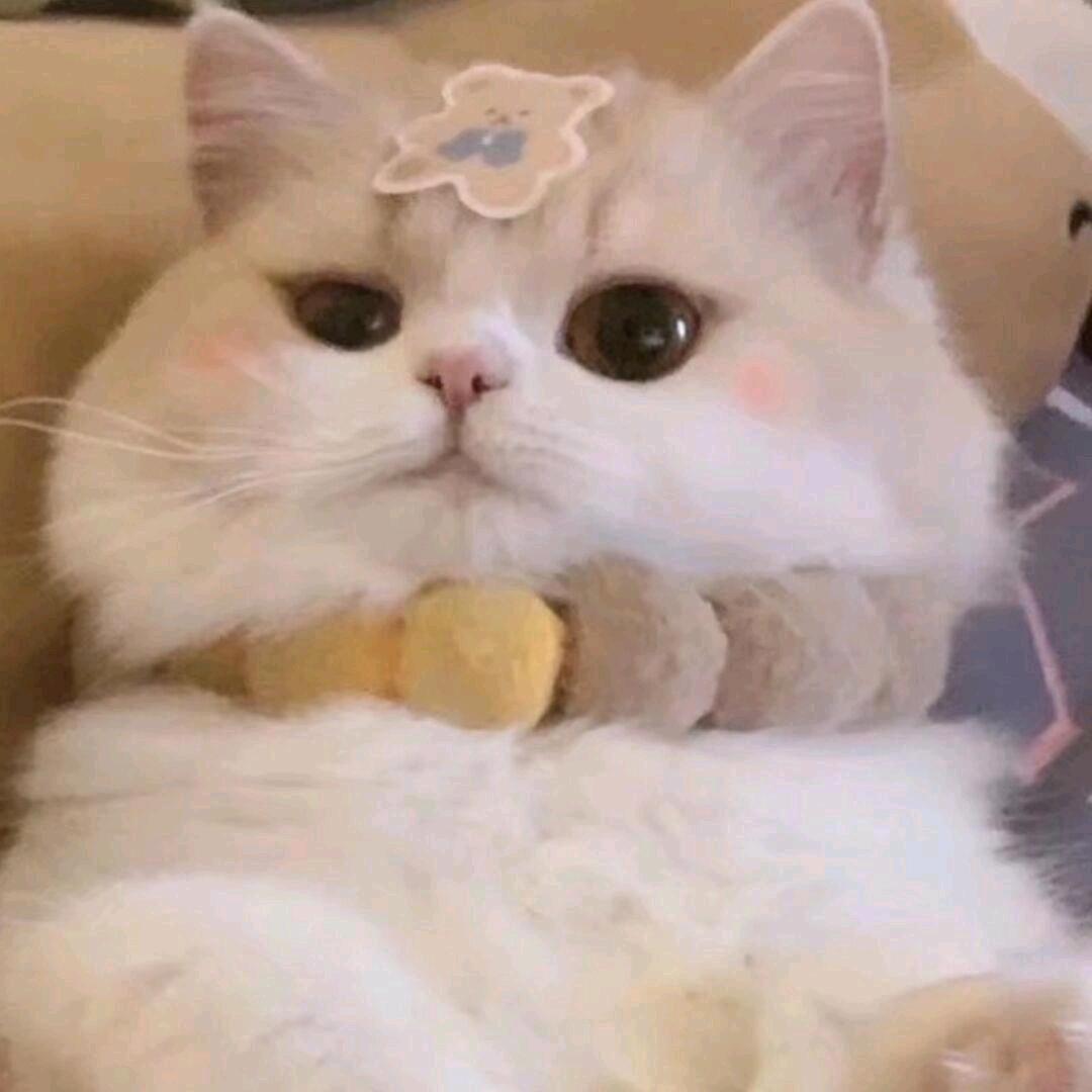 九熙