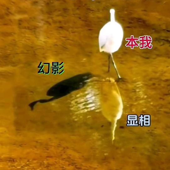 水木·风清杨