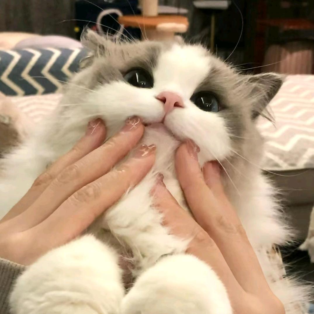 ta头像