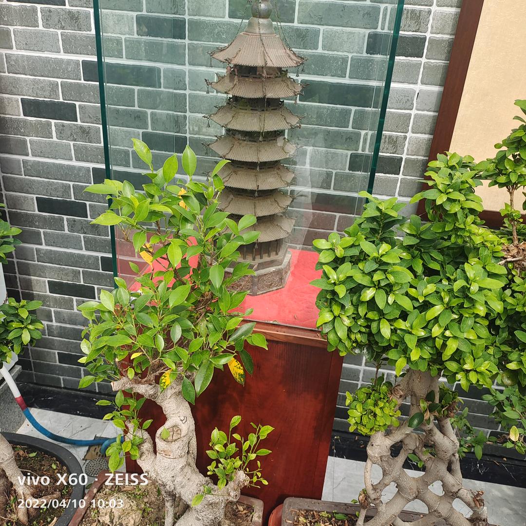 《碎银解千愁》