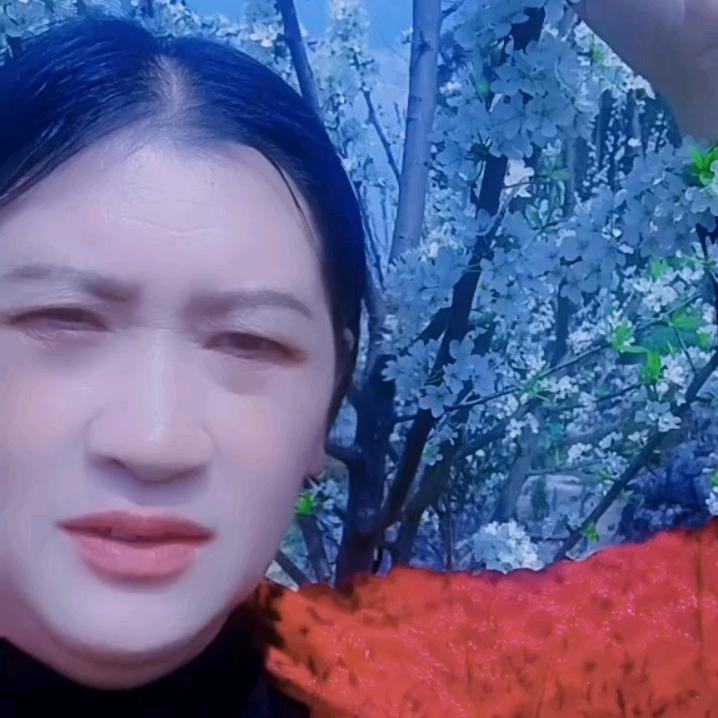 何开嫦