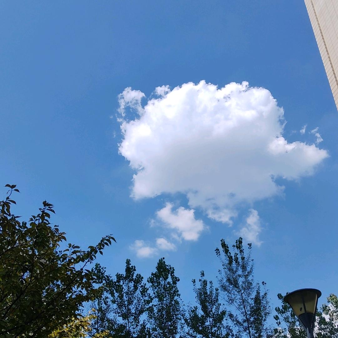 土豆君（见过赵丽颖本人版）