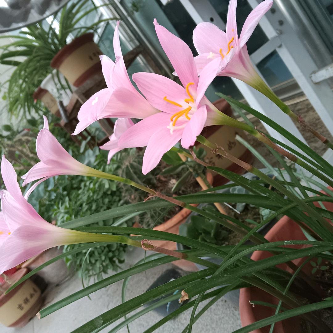 @宝哥
