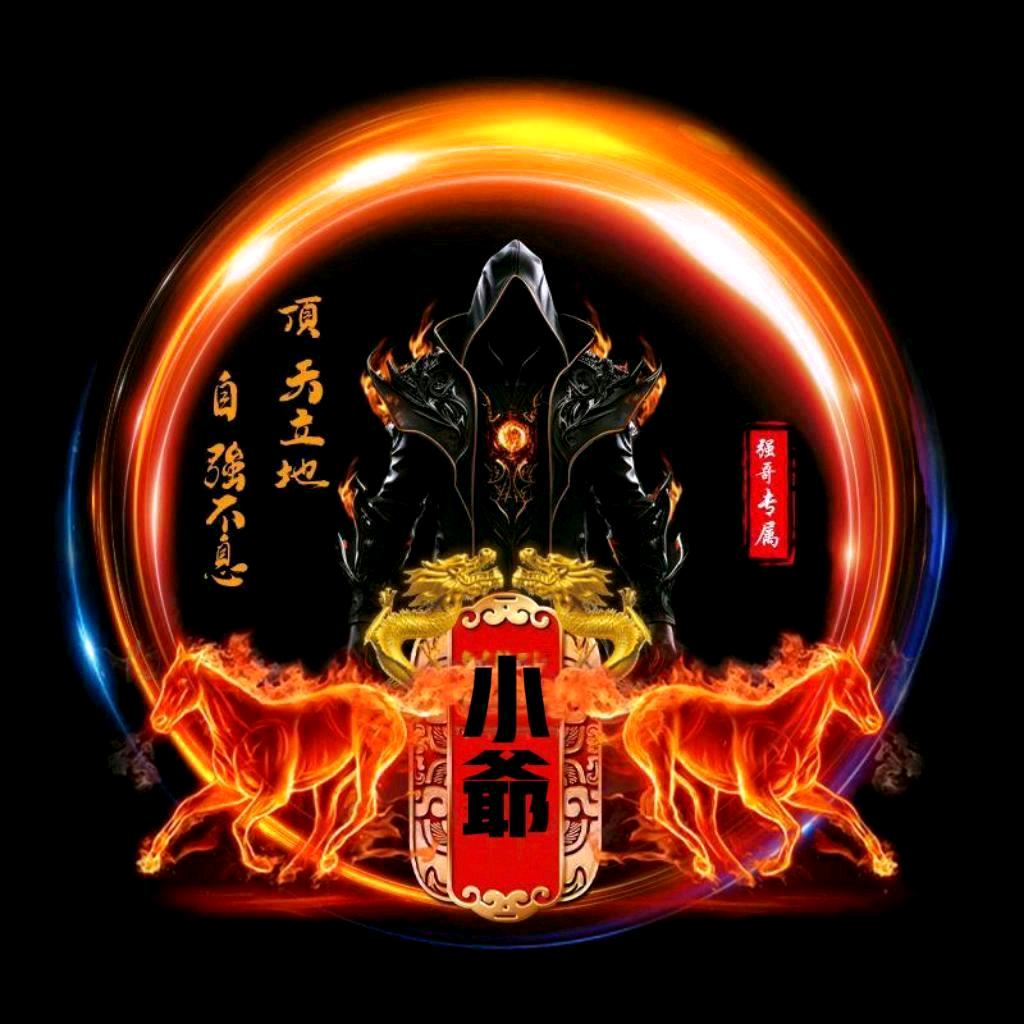 ✨小爷不在流浪