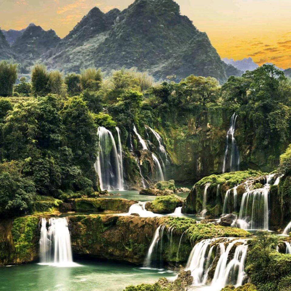 百罗丘37号@除甲醛专家