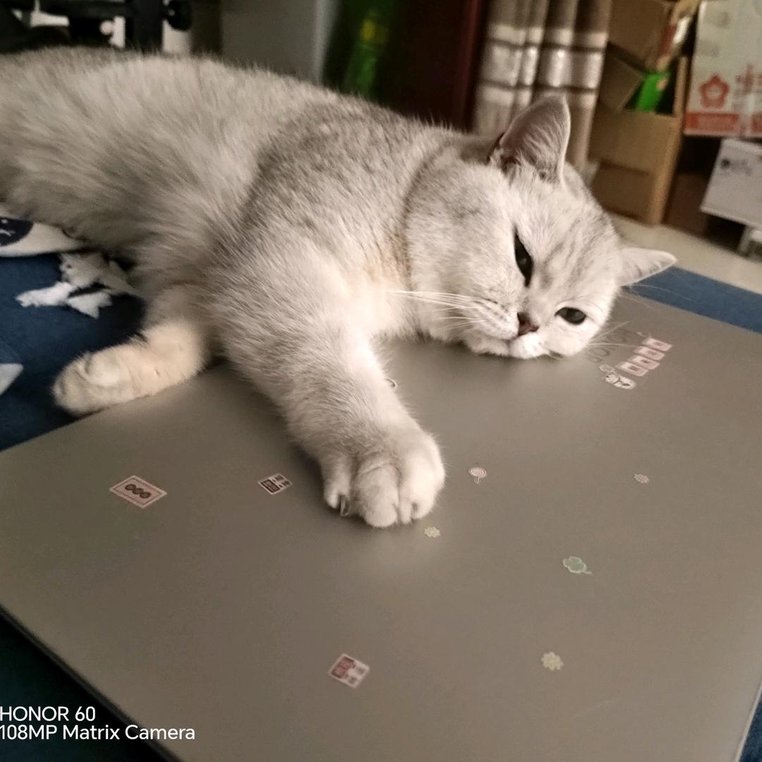 随便