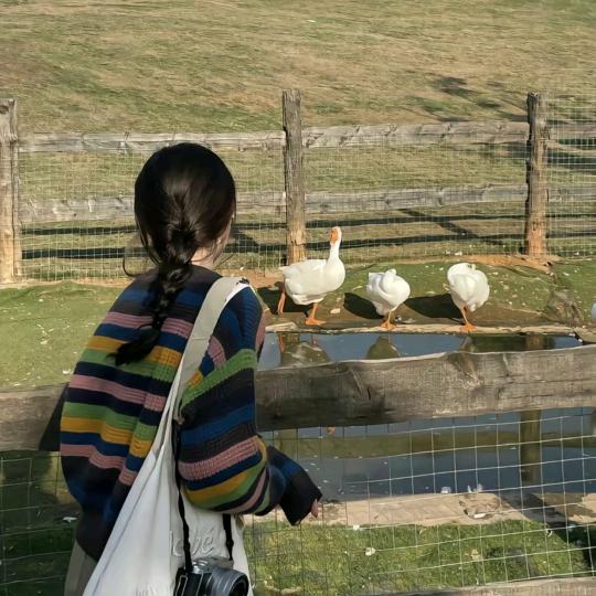 小维尼（努力版✊）