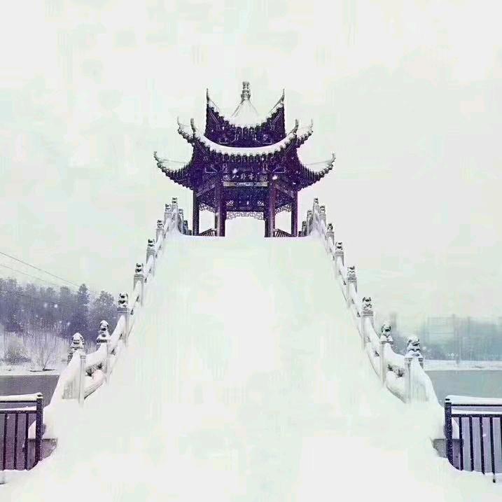小贾