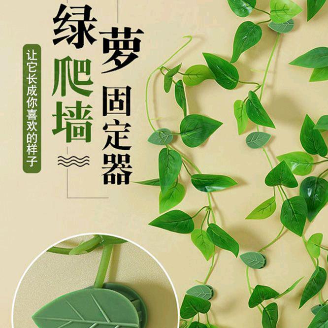 音浪小王子的头像