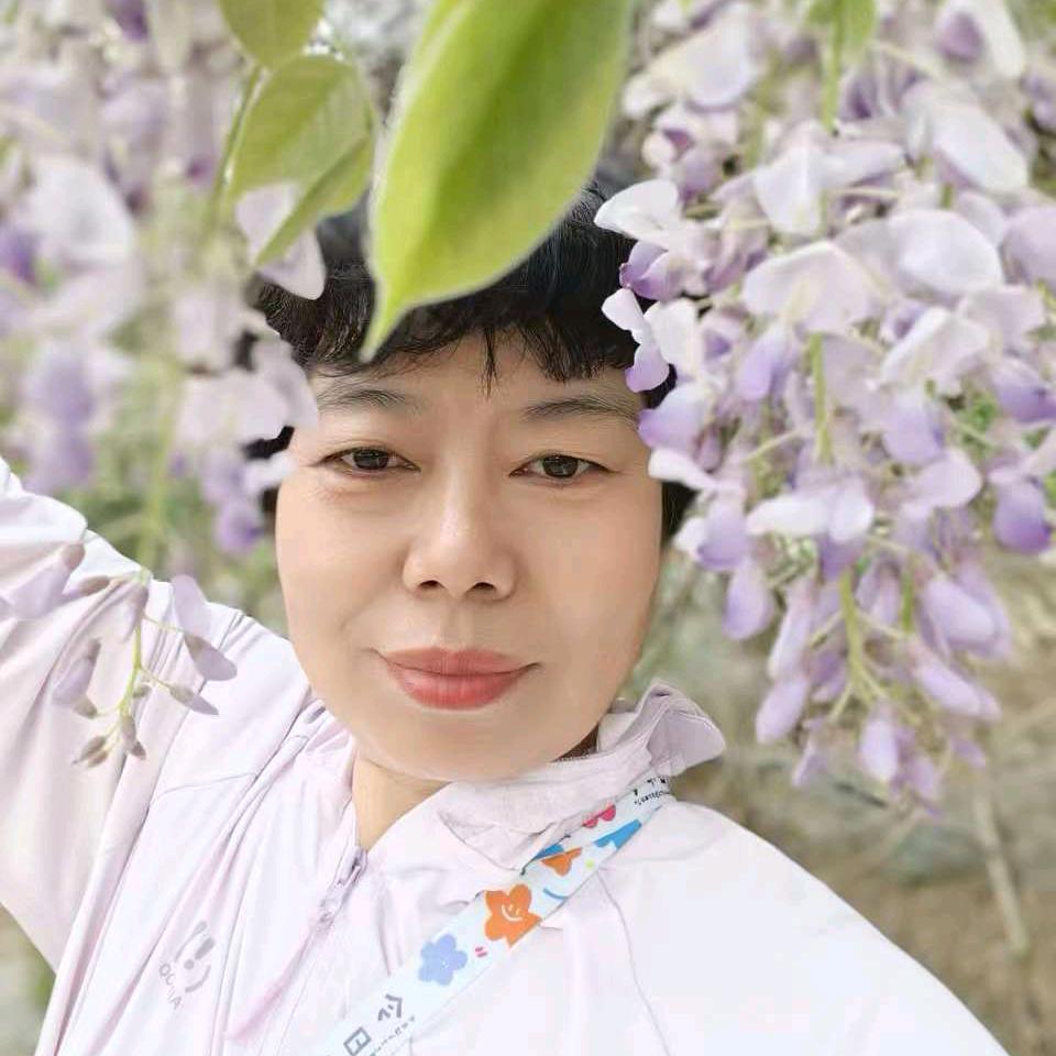 常青树