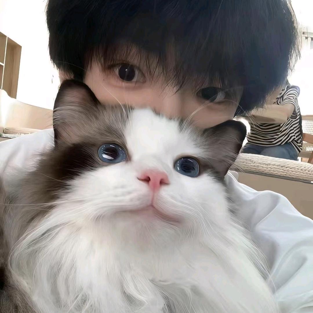 DL丶小明