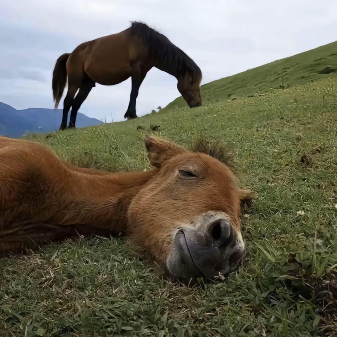 来吃螺蛳粉布鲁斯