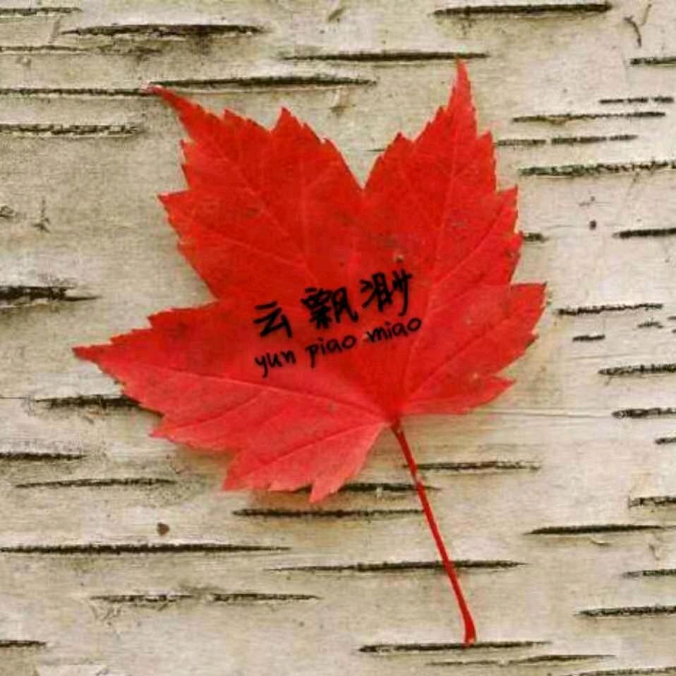 云飘渺☔