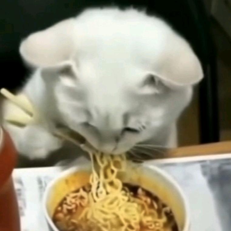 冬至