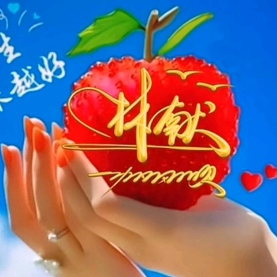 林献(拒绝聊天)