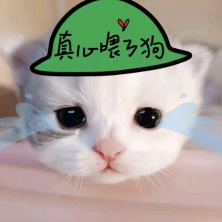 不想吃青菜
