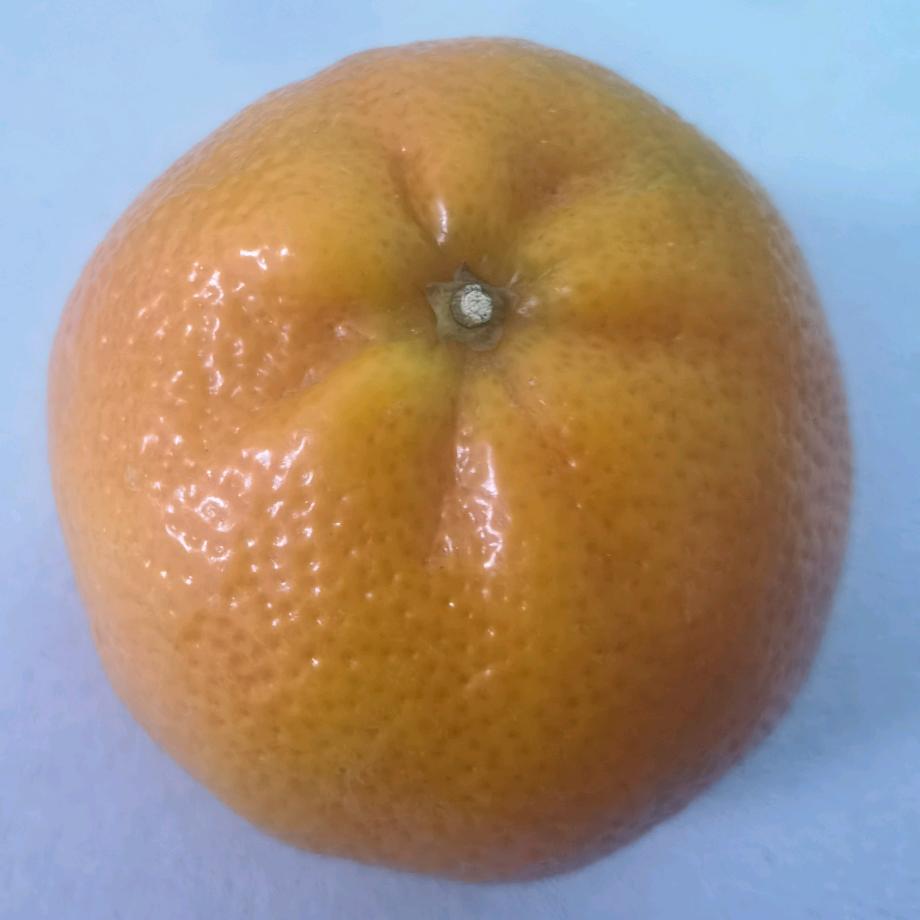 分享生活小常识