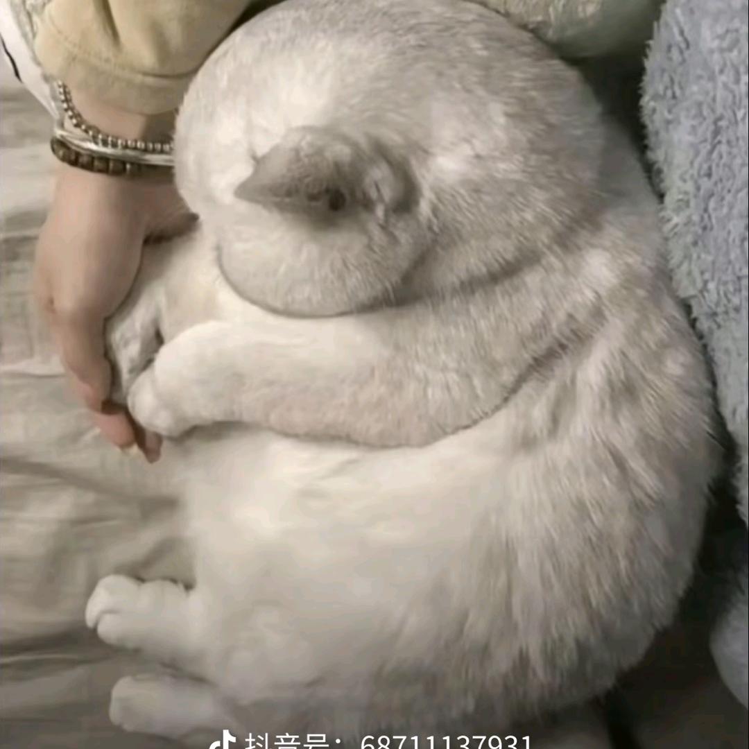 小❤️