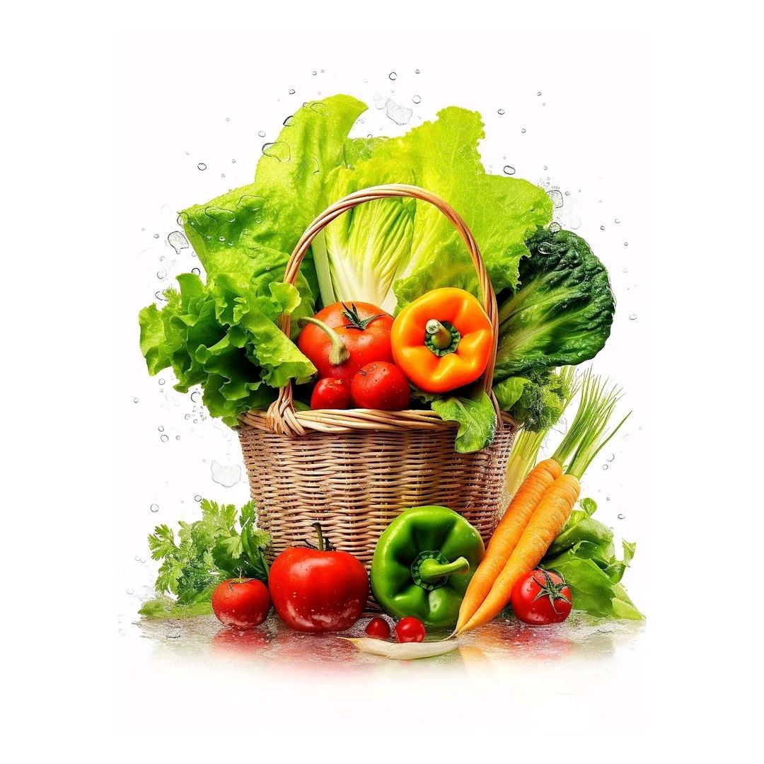 灌云菜篮子计划